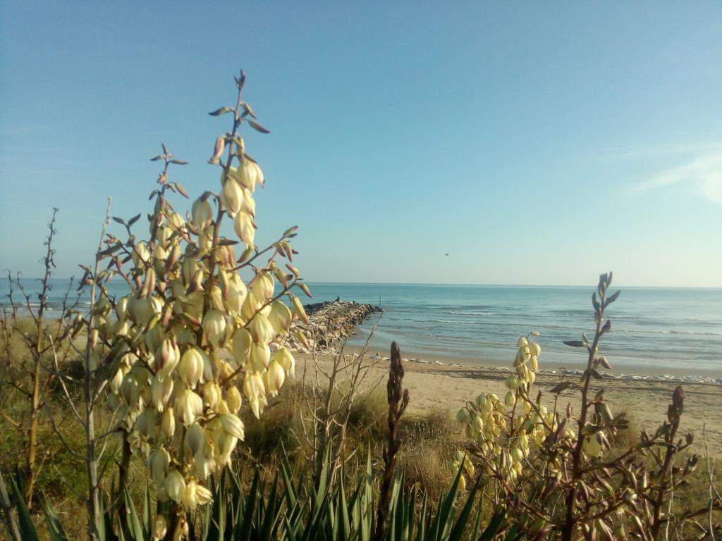 Villa Trifoglio Jesolo Extérieur photo